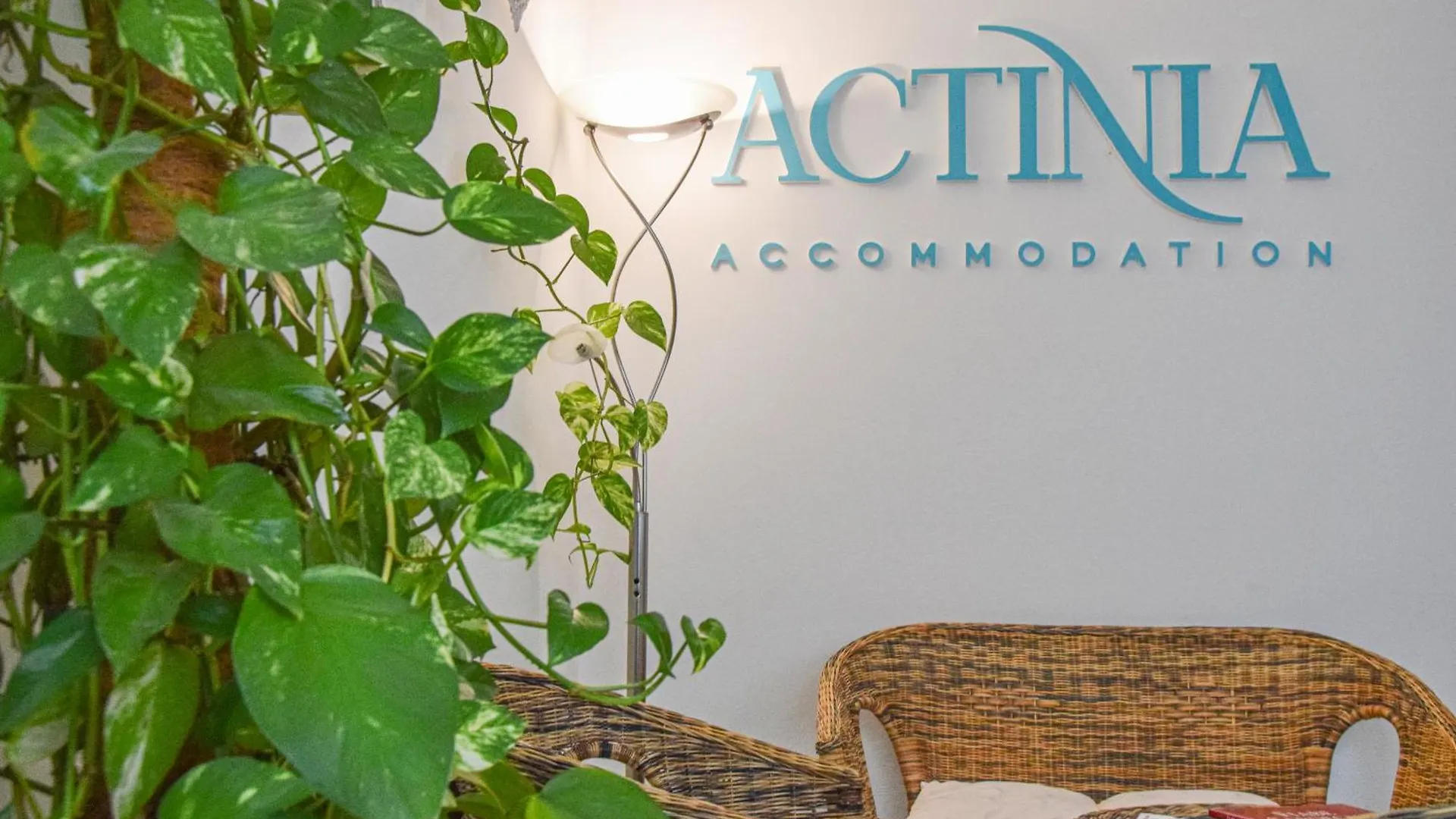 Actinia Accommodation Alghero Affittacamere