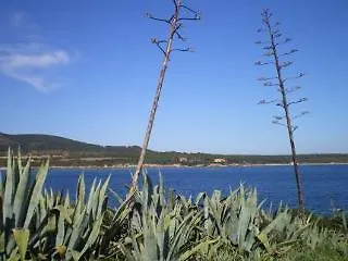 Actinia Accommodation Alghero Vendégház