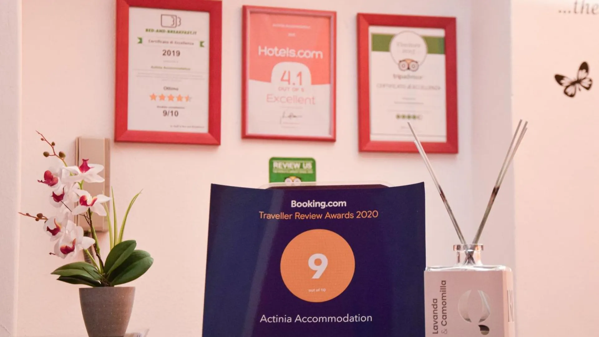 Actinia Accommodation Alguer